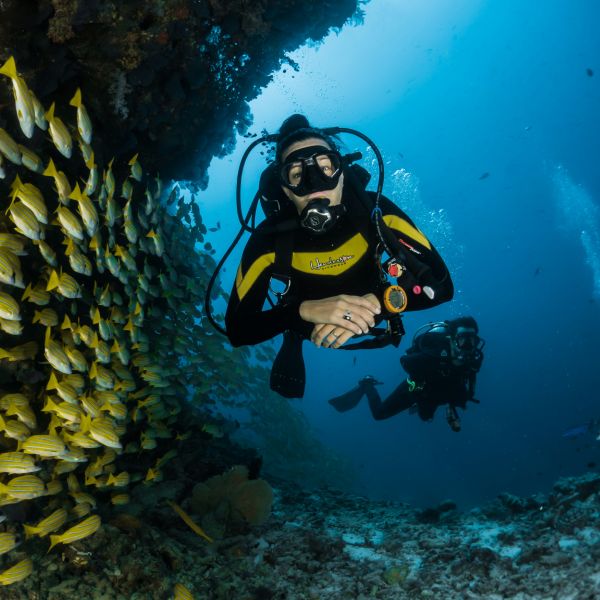 Scuba diving in Malta