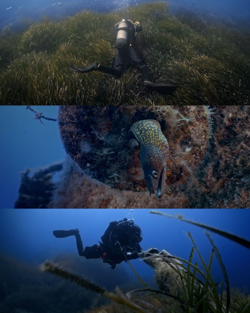 Malta diving activity - 5
